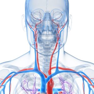 Bilateral thoracic outlet veins arteries venous TOS
