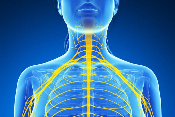 Bilateral brachial plexus Causes of Neurogenic TOS