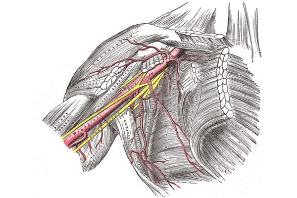 Arterial TOS Axilla