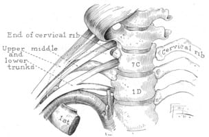 History of Thoracic Outlet Syndrome: Alfred Washington Adson