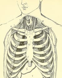 History of Thoracic Outlet Syndrome: Jere Lord