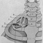 History of Thoracic Outlet Syndrome: Arthur Ayer Law