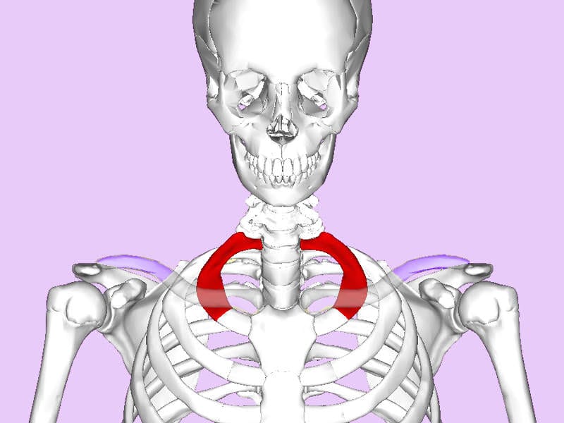 Thoracic outlet syndrome first rib resection major league baseball pitchers