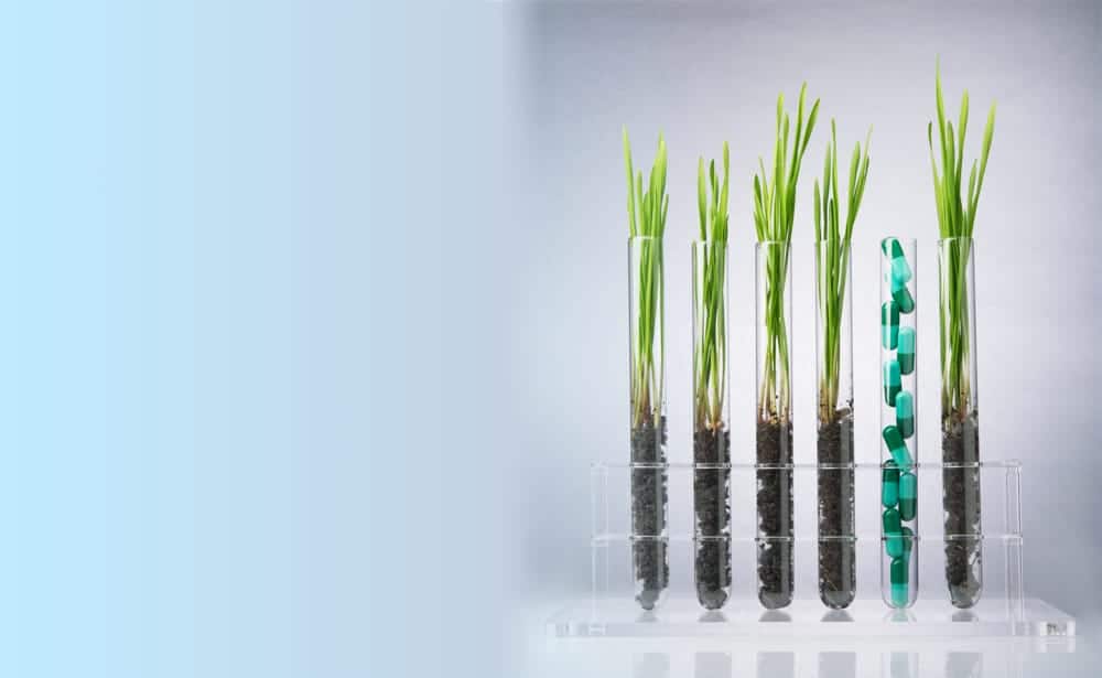 Test tubes with soil and green plants treating thoracic outlet syndrome natural healing